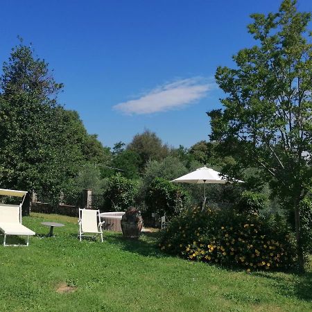 Apartament La Vedetta Lukka Zewnętrze zdjęcie